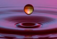 Basra to Add Four New Water Desalination Plants