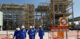 The Oil and Gas Committee notes observations on the ministry's performance and calls for a comprehensive review.