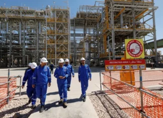 The Oil and Gas Committee notes observations on the ministry’s performance and calls for a comprehensive review. The Oil and Gas Committee notes observations on the ministry's performance and calls for a comprehensive review.