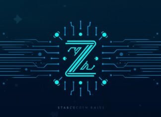 Zelle explores stablecoin rails for global money transfers