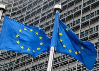 EU supports Iraqs endeavors to diversify economy
