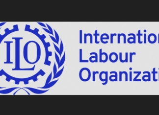 ILO Strengthens Employment Services in Iraqi Kurdistan Ninewa