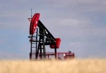 Oil prices are attempting to recover after weeks of decline. Oil prices are attempting to recover after weeks of decline.