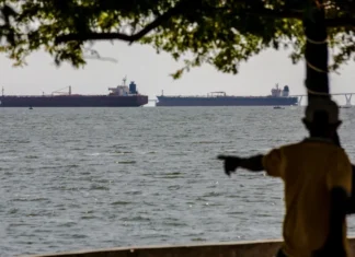 Asian markets track Wall St lower as AI fears mount Asian markets track Wall St lower as AI fears mount