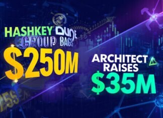 Crypto VC Funding: HashKey Group bags $250m, Architect raises $35m Crypto VC Funding HashKey Group bags 250m Architect raises 35m
