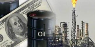 Former MP: Political favors open doors and close the state treasury