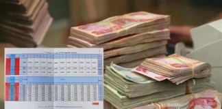 Al-Moussawi: The unified salary scale addresses disparities and achieves fairness among government institutions.