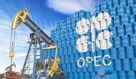 OPEC reveals that Basra crude prices rose last month.