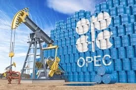 OPEC reveals that Basra crude prices rose last month. OPEC reveals that Basra crude prices rose last month.