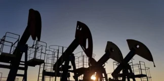 Oil prices stabilize at high levels amid market anticipation