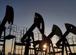 Oil prices stabilize at high levels amid market anticipation