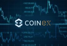 CoinEx introduces high yield dual investment amid volatile and sideways crypto markets