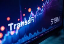 Stablecoin payments firm TransFi raises over $19M to expand services