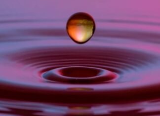 Contract Awarded for Rainwater Harvesting System