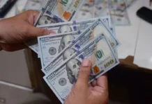 Dollar exchange rates rise in local markets