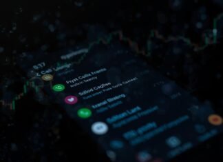Milei call logs raise new questions over Libra token promotion
