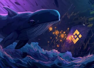 Whale transfers $20M in Bitcoin to Binance as price remains shaky