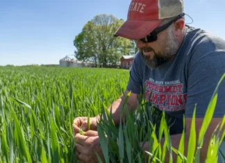 ‘Blindsided’ US farmers strained as fertilizer costs surge on war