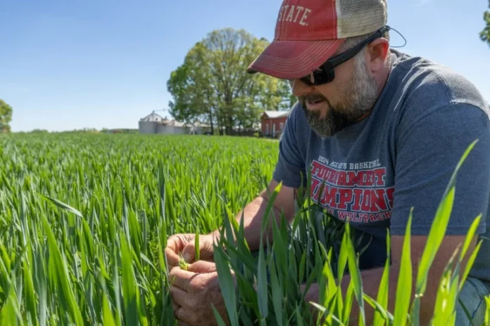 ‘Blindsided’ US farmers strained as fertilizer costs surge on war