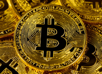 Bitcoin community backs leaving Satoshi’s coins untouched Bitcoin community backs leaving Satoshi’s coins untouched