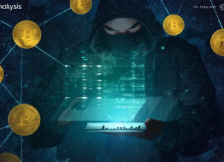 Crypto tax evaders test Ordinals but leave Bitcoin trail Chainalysis report