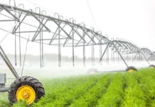 Diyala Council Obtaining the green light to reconsider the summer agricultural plan