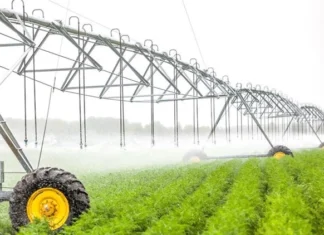 Diyala Council Obtaining the green light to reconsider the summer agricultural plan