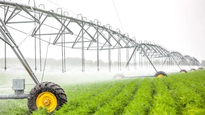 Diyala Council Obtaining the green light to reconsider the summer agricultural plan