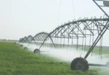 MP Green light for important amendments to agricultural plans following water abundance