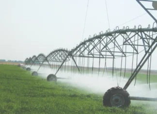 MP Green light for important amendments to agricultural plans following water abundance