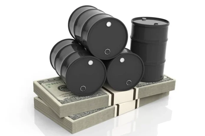 Parliamentary movement to amend the economic course and maximize non oil revenues