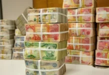 Secured for two months... Former member of the parliamentary finance committee rules out the government stopping salary payments