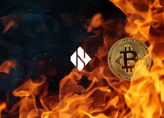 Strategy pauses Bitcoin buying, STRC dividend draws fire