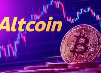 Altcoins need revenue to survive, Ki Young Ju says