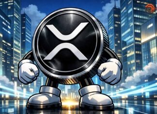 Bitwise XRP ETF inflows top $200m as demand holds