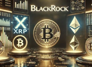 BlackRock says Bitcoin belongs in portfolios, but only at 1% to 2%