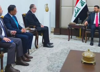 Iraq Development Plan to 2050 Discussed with UNDP