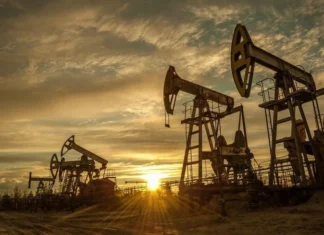 Oil prices fell globally after signs of stabilizing shipping activity.