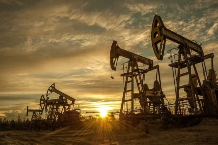 Oil prices fell globally after signs of stabilizing shipping activity. Oil prices fell globally after signs of stabilizing shipping activity.