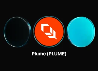 Plume’s Bybit deal puts RWA yield in front of stablecoin users