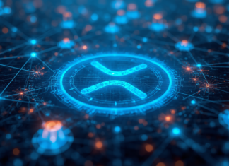 XRP Ledger Eyes Tokenized Finance as Schwartz Maps Next Use Cases