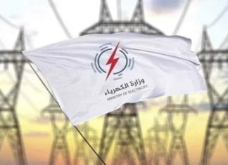 Parliament recommends referring electricity corruption cases to the Integrity Commission and the judiciary.