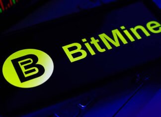 Satoshi Bitcoin lawsuit drops 44 wallets after on chain activity