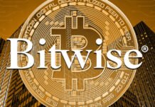 Bitwise CIO sees crypto valuations doubling on token revenue