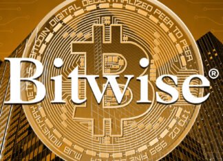 Bitwise CIO sees crypto valuations doubling on token revenue
