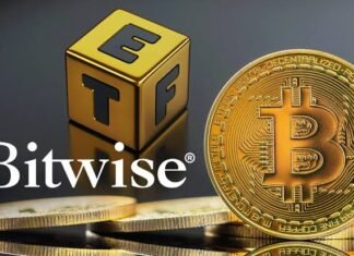 Bitwise NEAR ETF reveals NRR ticker in SEC filing