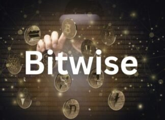 Bitwise crypto ETFs attract $100M in one day, led by Solana