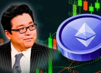 Ethereum price rises 29% as Tom Lee says rotation has begun Ethereum price rises 29% as Tom Lee says rotation has begun