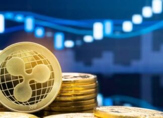 Ripple joins Clearpool, Cicada to launch institutional RLUSD credit fund Ripple joins Clearpool, Cicada to launch institutional RLUSD credit fund