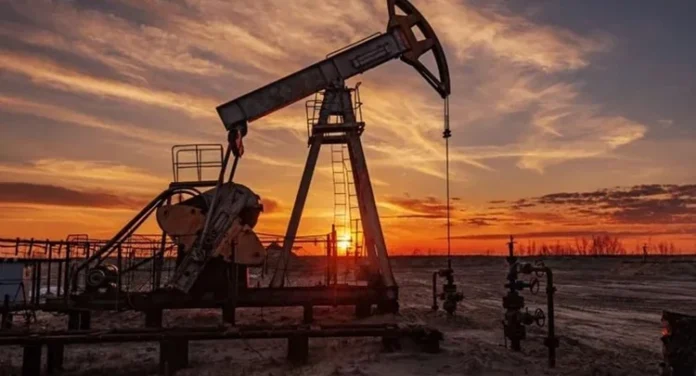 Supported by the global market, Basra crude rises by more than 5%